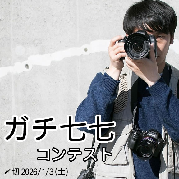 真剣投稿。ガチ七七コンテスト