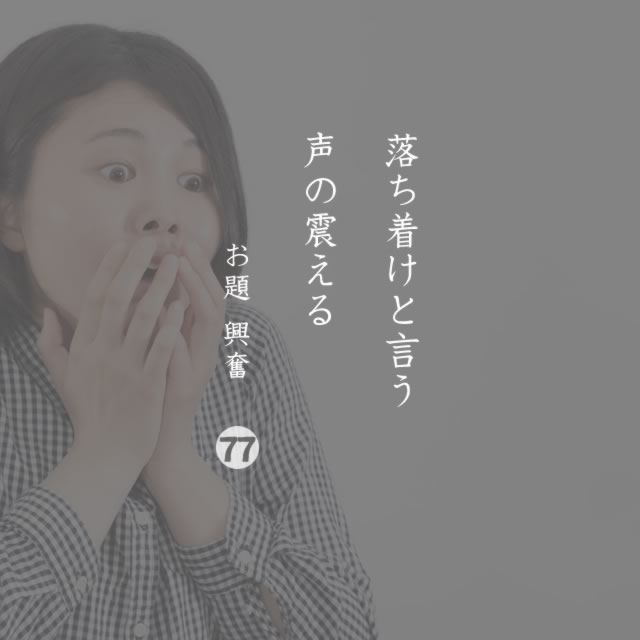 2019年11月11日の一句
