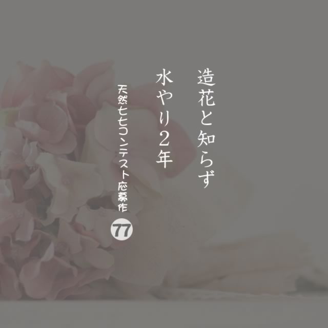 2019年11月12日の一句