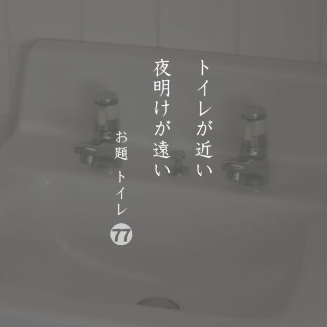 2019年11月19日の一句