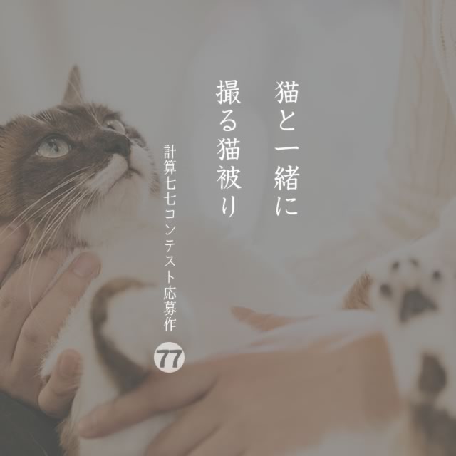 2019年11月26日の一句