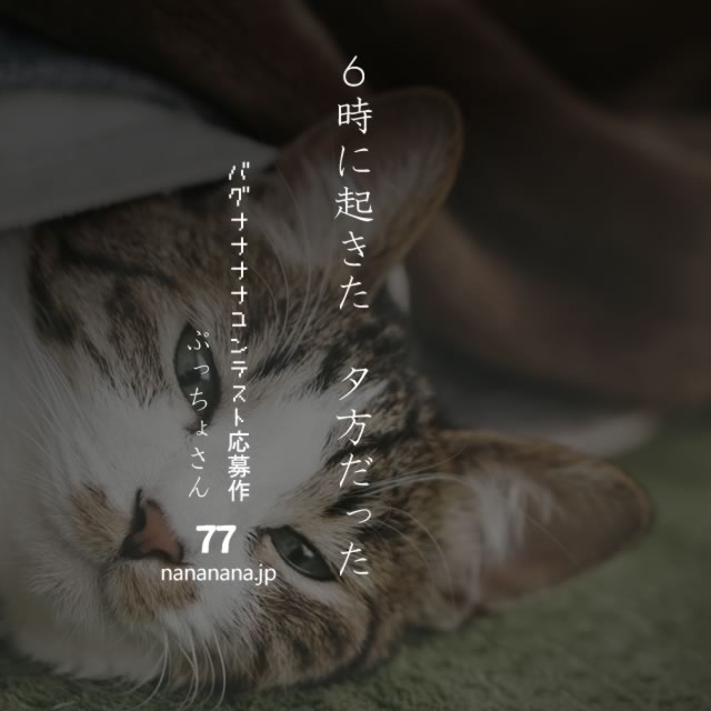2020年2月16日の一句
