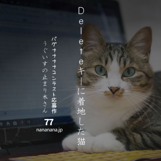 2020年2月19日の一句