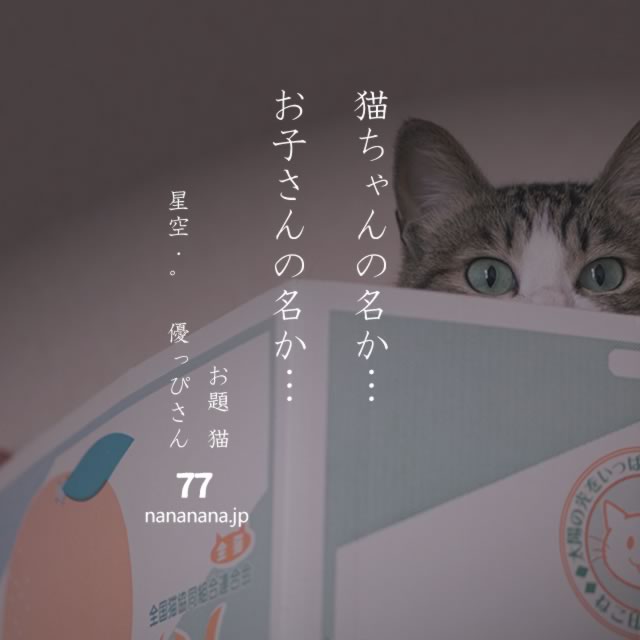 2020年2月22日の一句