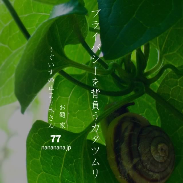 2020年3月25日の一句