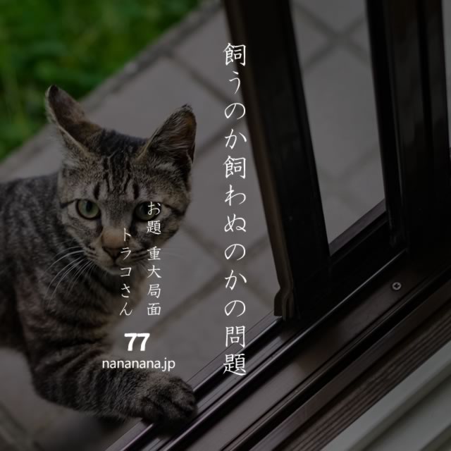2020年3月26日の一句