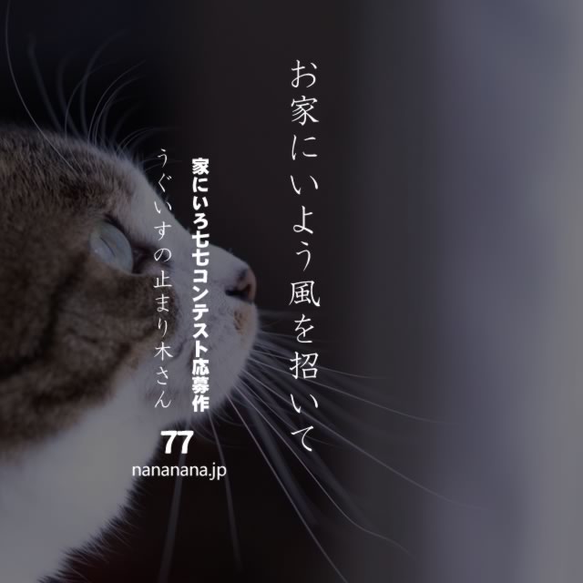 2020年4月9日の一句