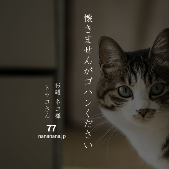 2020年4月14日の一句