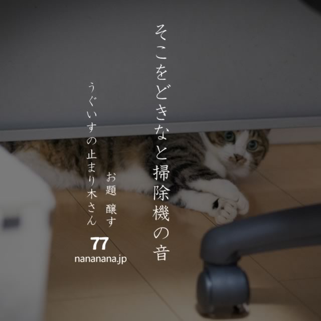 2020年4月29日の一句