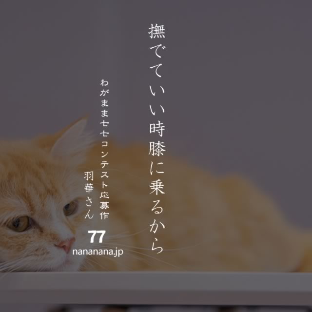 2020年5月3日の一句