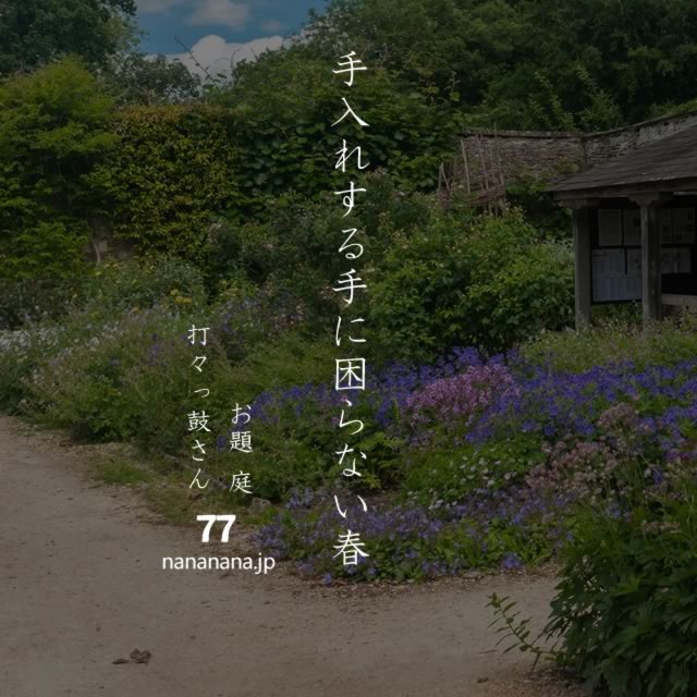 2020年5月15日の一句