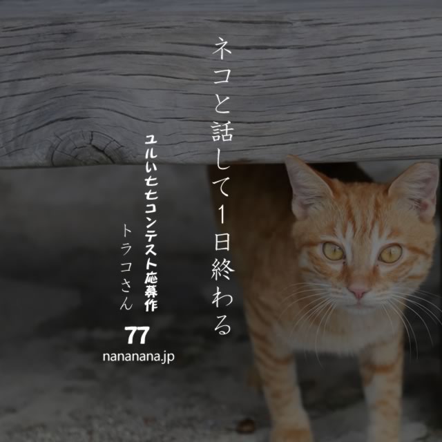 2020年6月6日の一句