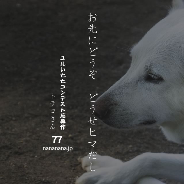 2020年6月10日の一句