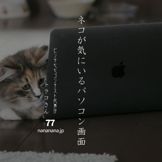 2020年8月7日の一句