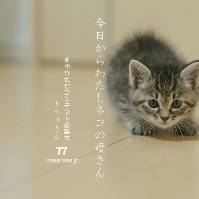 2020年9月6日の一句