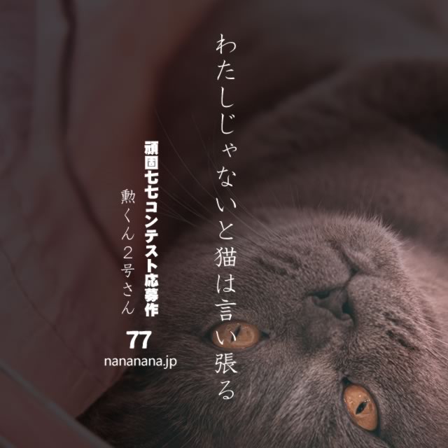 2020年11月7日の一句