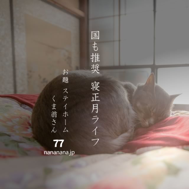 2020年12月21日の一句