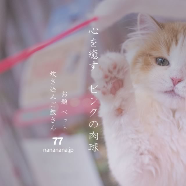 2021年3月2日の一句
