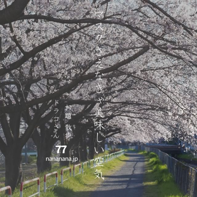 2021年3月26日の一句