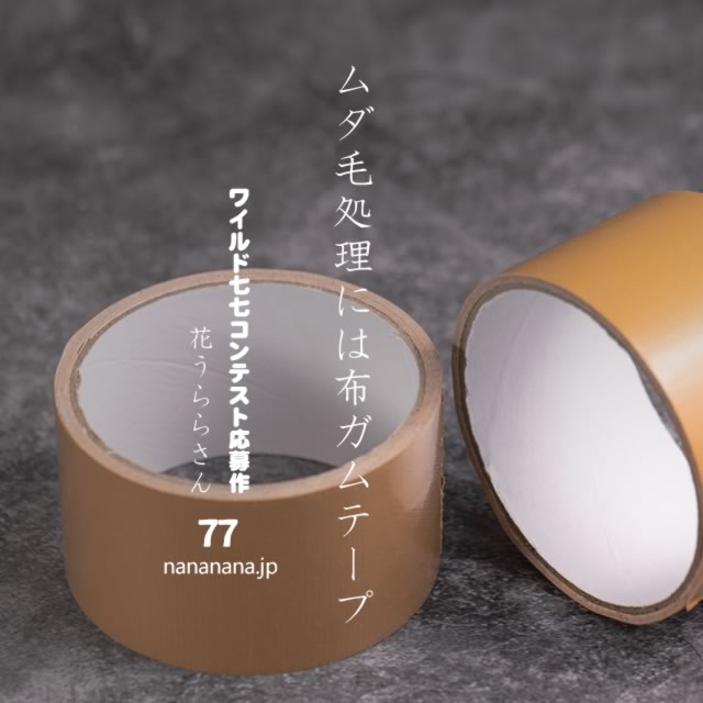 2021年4月12日の一句