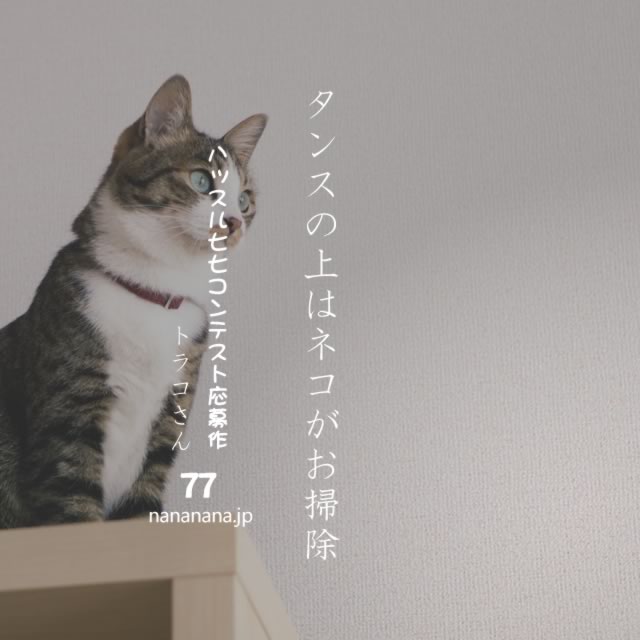 2021年5月5日の一句