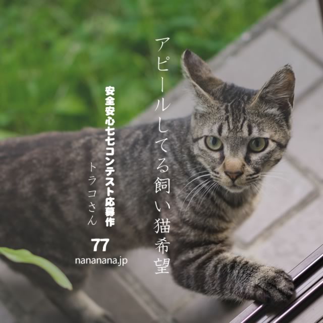 2021年6月18日の一句