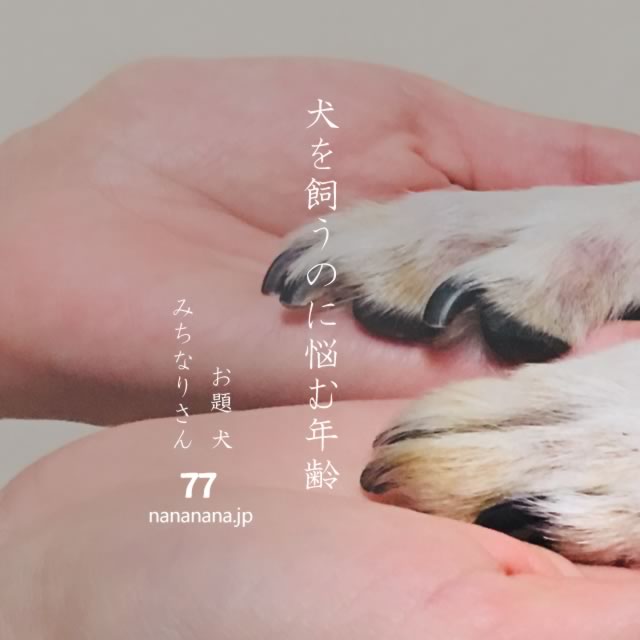 2021年7月24日の一句