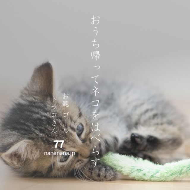 2021年8月4日の一句
