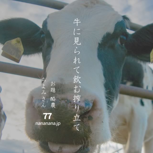 2021年8月17日の一句