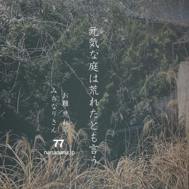 2022年2月16日の一句