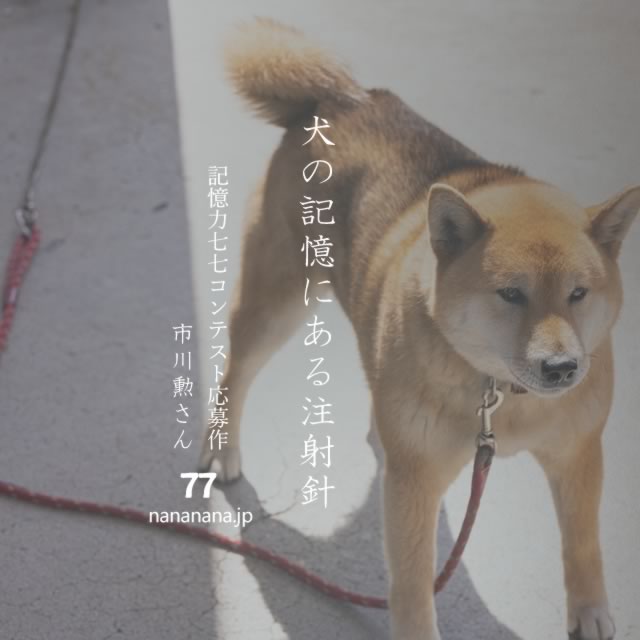 2022年4月1日の一句