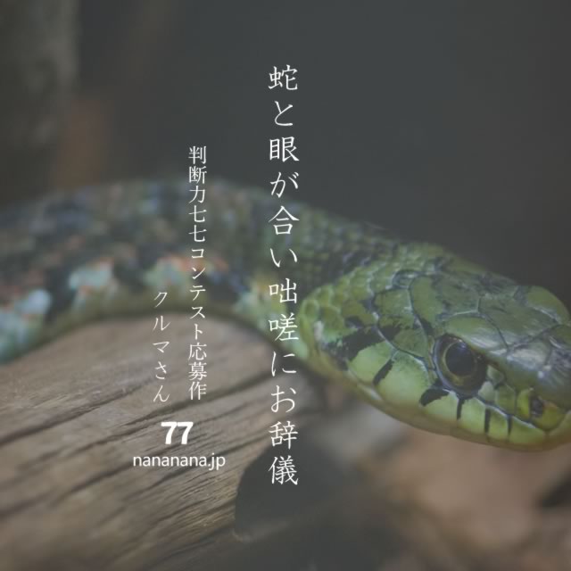 2022年4月3日の一句