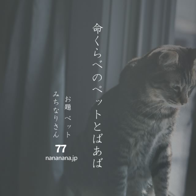2022年4月19日の一句