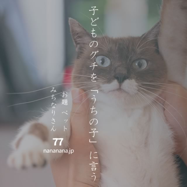 2022年6月16日の一句