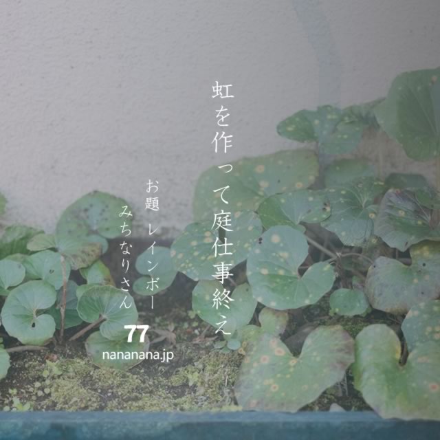 2022年7月16日の一句