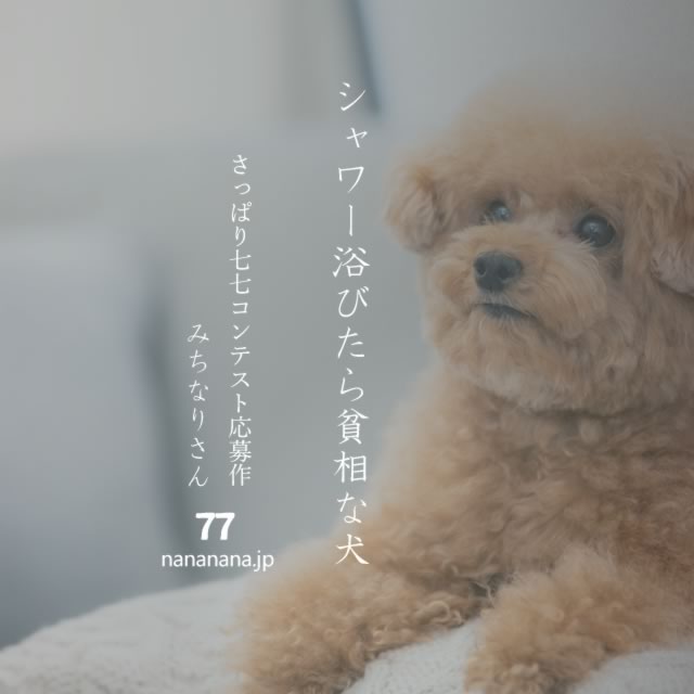 2022年8月2日の一句