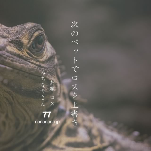 2022年10月16日の一句