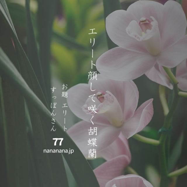 2022年10月27日の一句