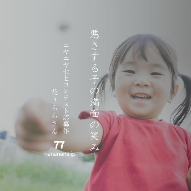2022年11月4日の一句