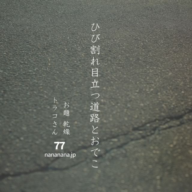2022年11月16日の一句