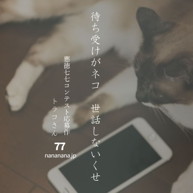 2022年11月18日の一句