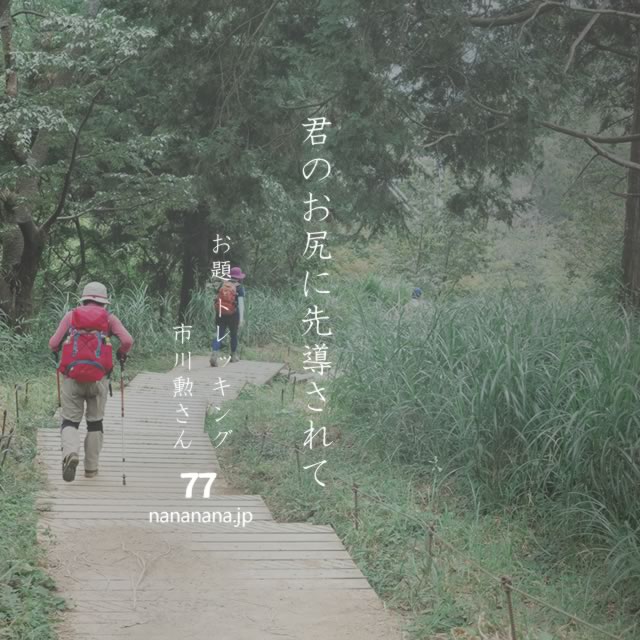 2022年12月11日の一句