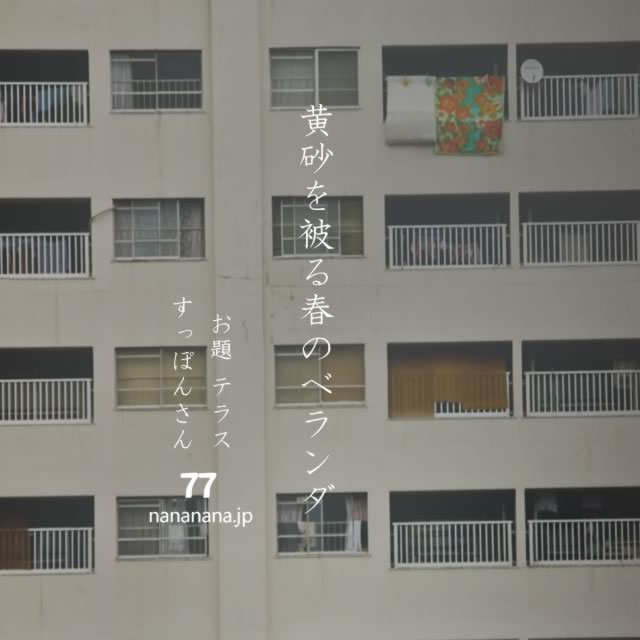 2023年4月13日の一句