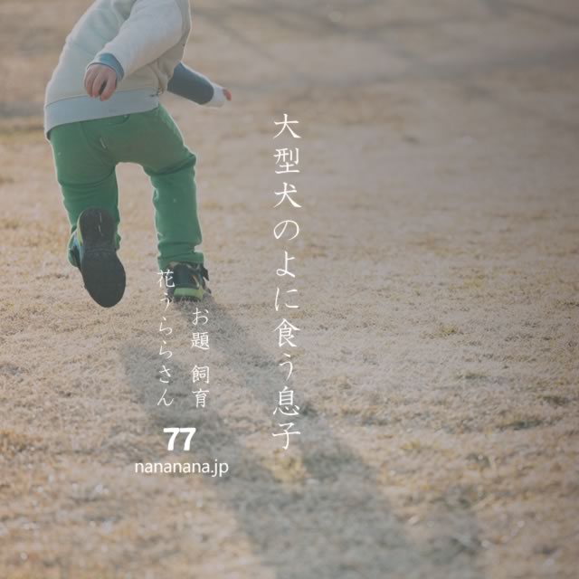 2023年4月19日の一句