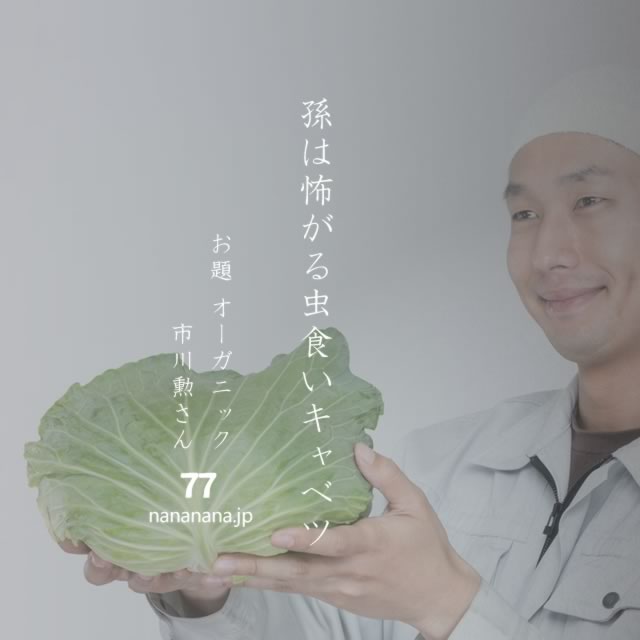 2023年4月24日の一句