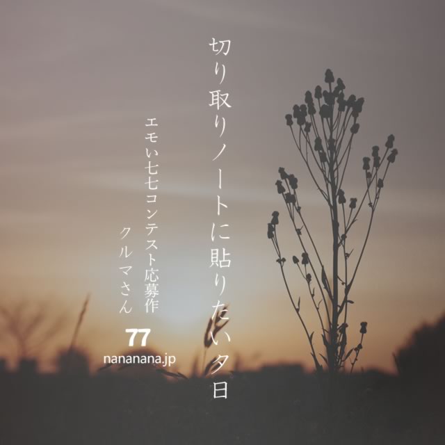 2023年5月10日の一句