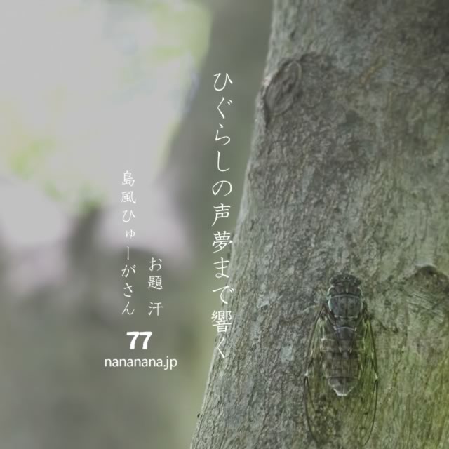 2023年7月25日の一句