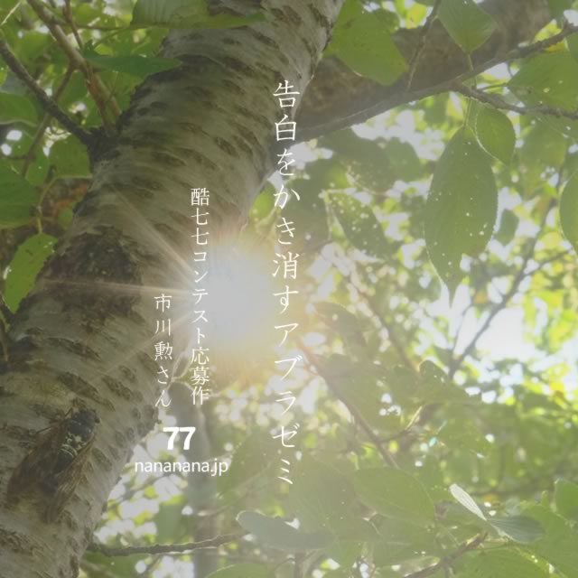 2023年7月26日の一句