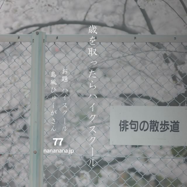2023年8月18日の一句