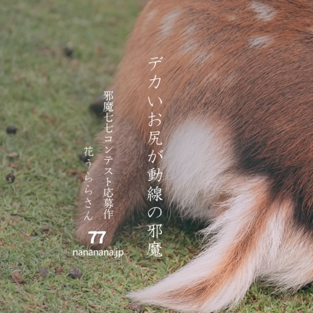 2023年10月6日の一句